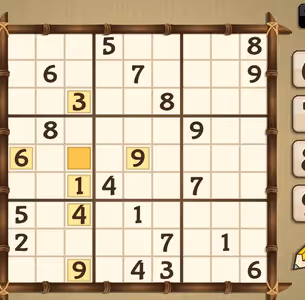247 Sudoku io Game Images 3