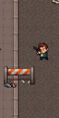 play Bruh io online
