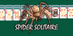 play SPIDER SOLITAIRE BY CLASSIC SOLITAIRE online