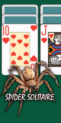 play SPIDER SOLITAIRE BY CLASSIC SOLITAIRE online