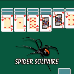 play SPIDER SOLITAIRE BY CLASSIC SOLITAIRE online