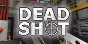 play DeadShot io online