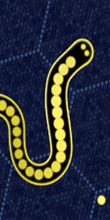 play Gulper.io online