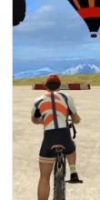 play Bicycle Stunts Racing Extreme online