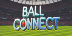  Ball Connect Puzzle 