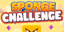 play Sponge Puzzle Skill Arcade online