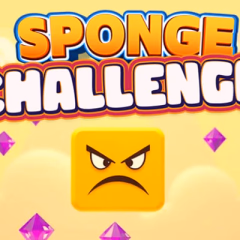 play Sponge Puzzle Skill Arcade online