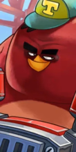 play Angry Birds Find Hidden Stars online