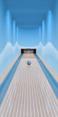 play Online Bowling 3D online