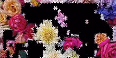 play Jigsaw Puzzles online