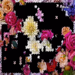 play Jigsaw Puzzles online
