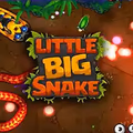play Little Big Snake io online