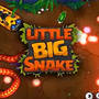 play Little Big Snake io online