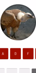 play Animal Quiz online