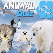 play Animal Quiz online