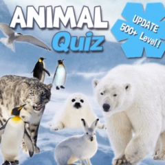 play Animal Quiz online
