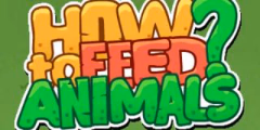 play How To Feed Animals online