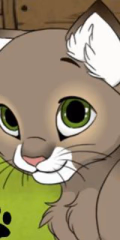 play Kitten Creator Game online