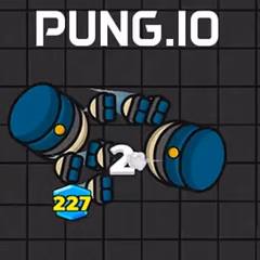 play Pung io online