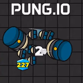 PUNG IO