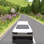 play Slow Roads io online