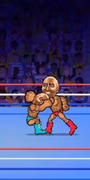 play Wrestle Bros online