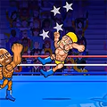 play Wrestle Bros online